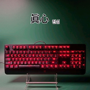 (*단종) Zowie BenQ 셀러리타스 II 키보드