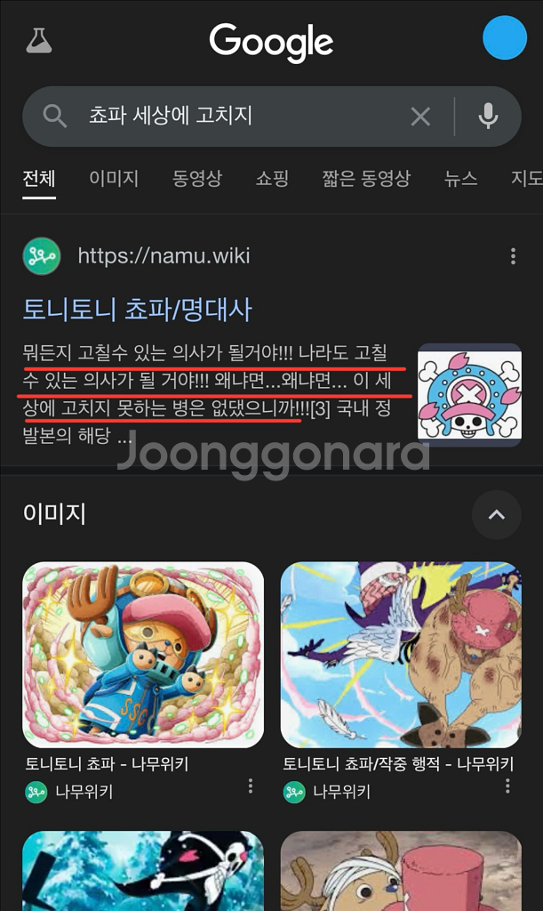 원피스)보이스키링) 쵸파 인형 누이 말하는 인형--2