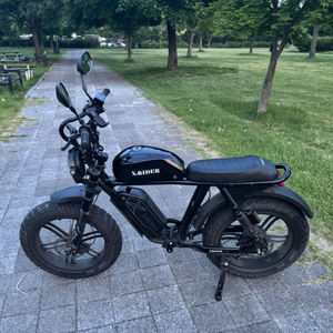 [S급튜닝] 엑스라이더 X200 Pro 프로 전기자전거