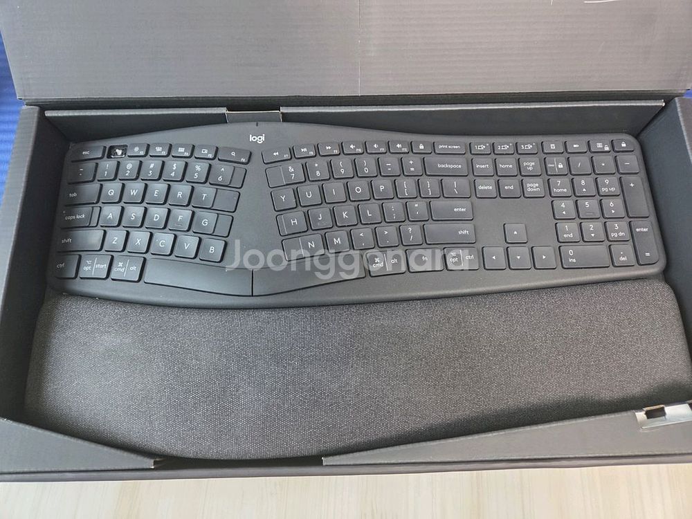 로지텍 Ergo 키보드--0