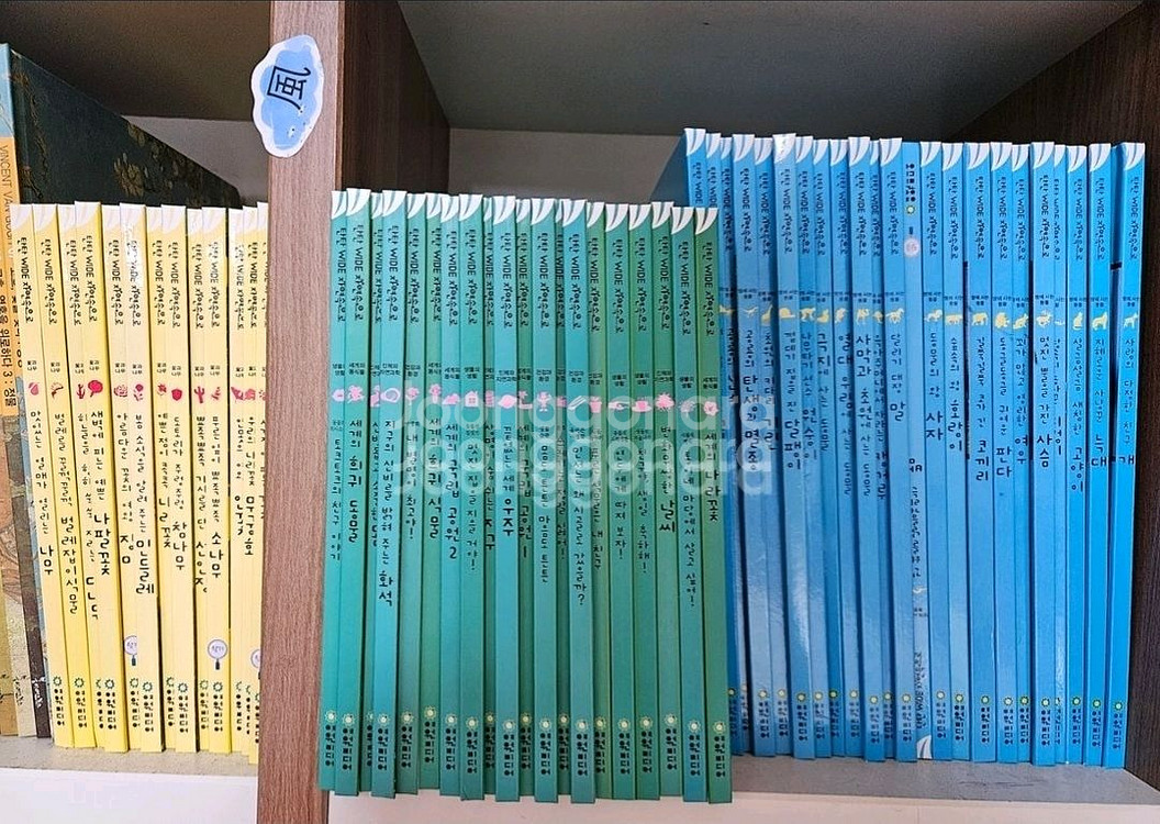 탄탄 와이드 자연속으로 100권(가격내림)--1