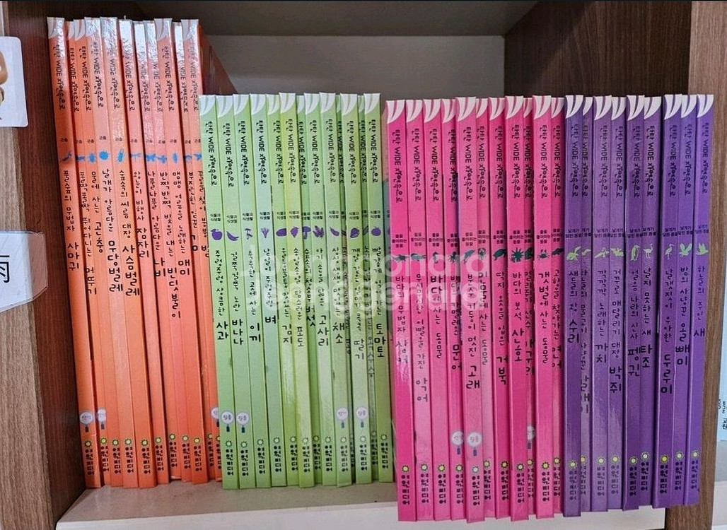 탄탄 와이드 자연속으로 100권(가격내림)--0