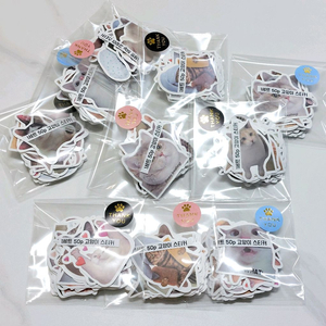 실사 고양이 방수 스티커 50p 총19세트 일괄가격