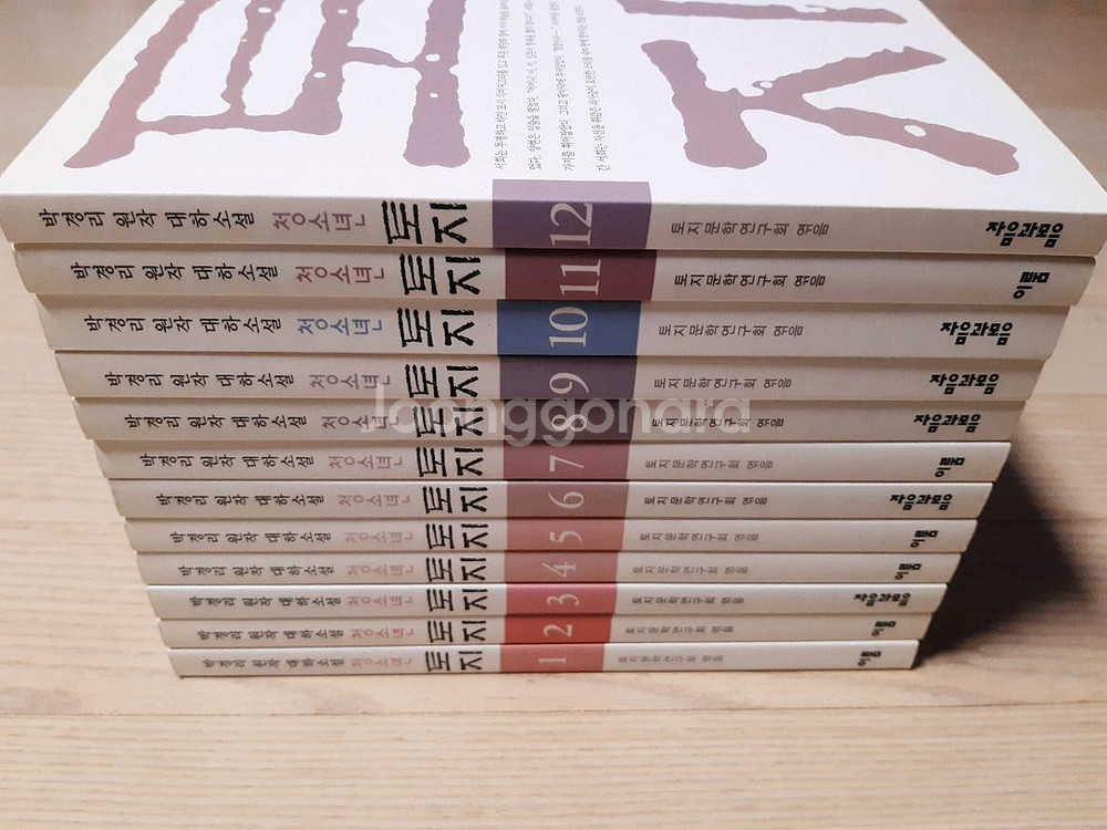 박경리 청소년 토지--0
