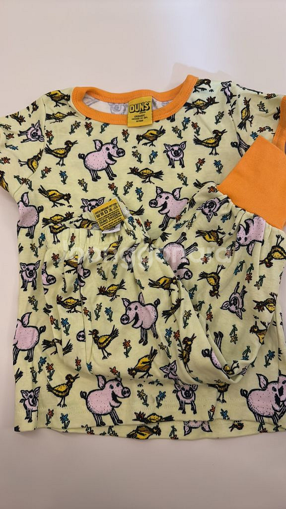 던스 루미너리 그린 돼지 상하의 98/7480 배기--0