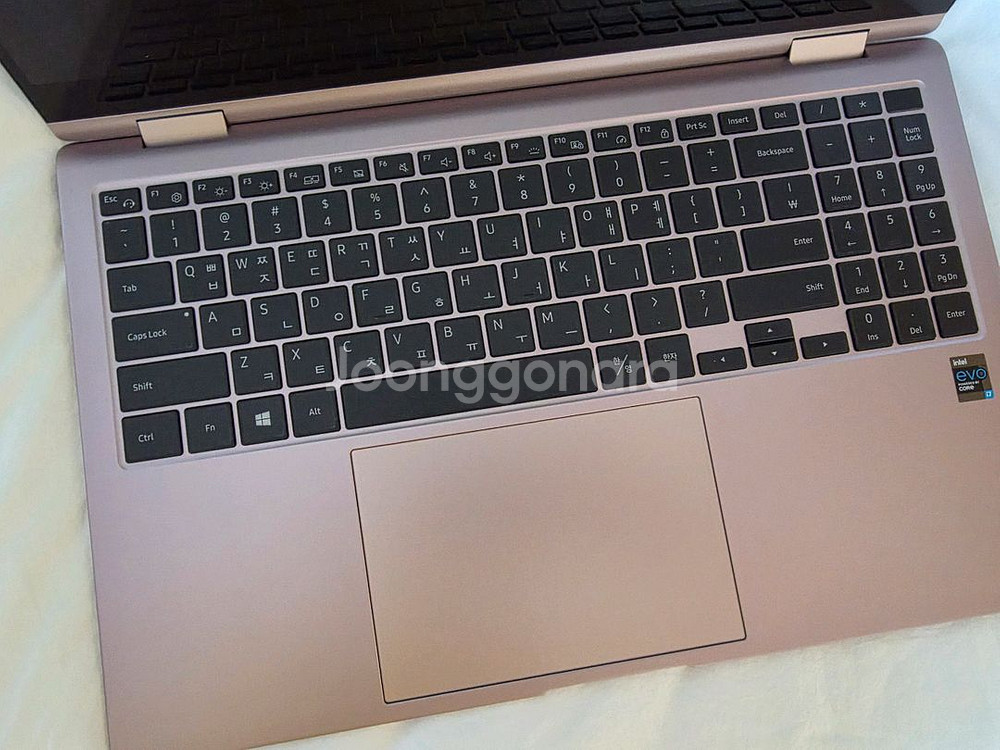갤럭시북 Pro 프로 360 NT950QDB--0