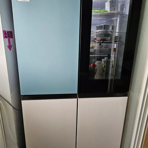 LG 디오스 오브제 노크온 4도어 870L 메탈 냉장고