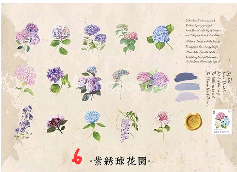 (처분) 다꾸 빈티지 pet 식물꽃스티커 4종--5