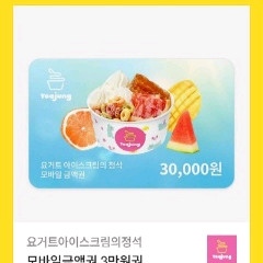 요거트아이스크림의정석 모바일금액권 3만원권