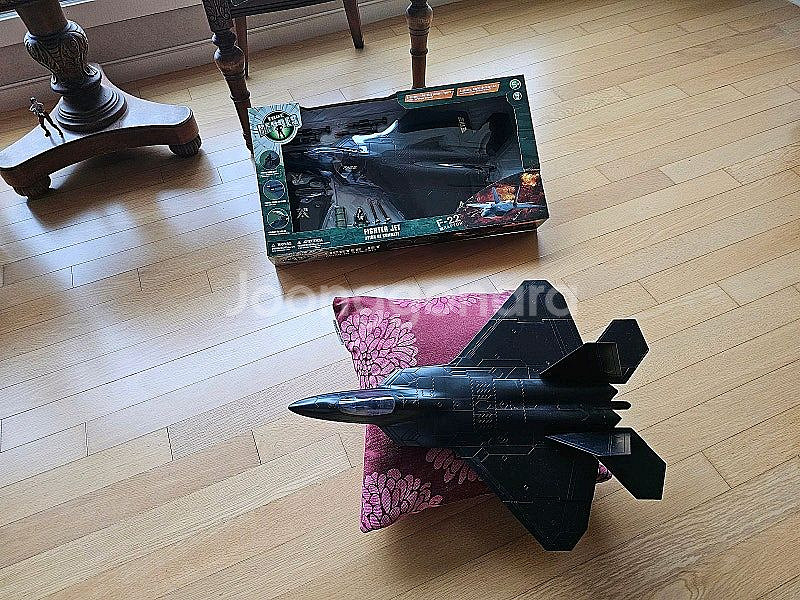 지아이조 F-22 랩터 블랙 천연 기념물 미개봉 팝니다--2