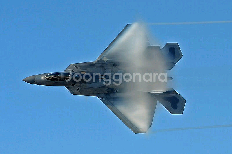 지아이조 F-22 랩터 블랙 천연 기념물 미개봉 팝니다--3