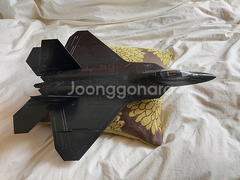 지아이조 F-22 랩터 블랙 천연 기념물 미개봉 팝니다--5