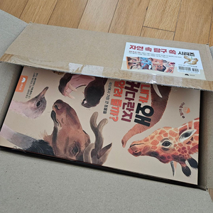 자연 속 탐구 쏙 시리즈 6권 세트