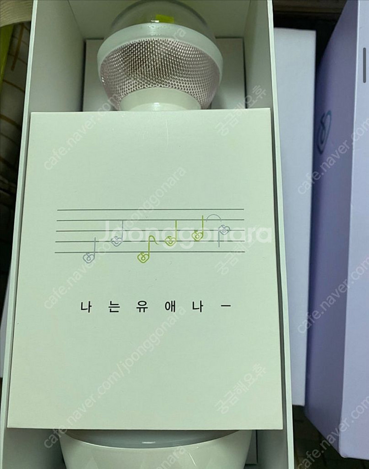 아이유 응원봉 아이크버전2판매--0
