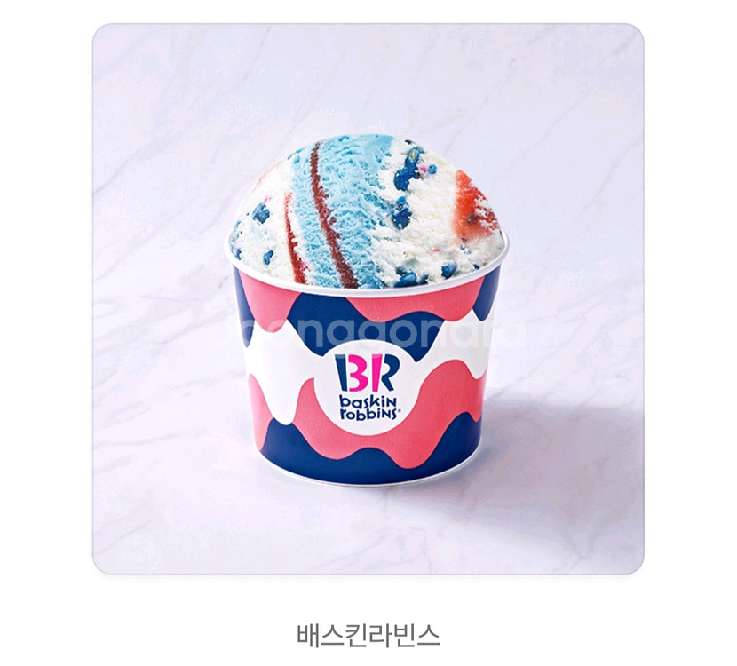 배스킨라빈스 파인트 베스킨라빈스 패밀리 배라 베라 쿼터--0