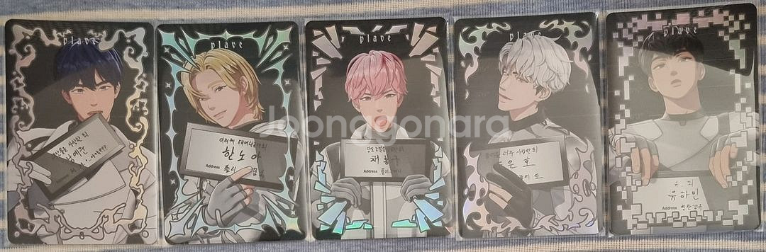 플레이브 칼리고 대쉬 퓨지티브 앨포 드볼 일괄양도--0