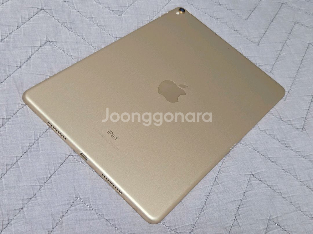 애플 아이패드 프로 10.5 256GB 디스플레이 변색--0