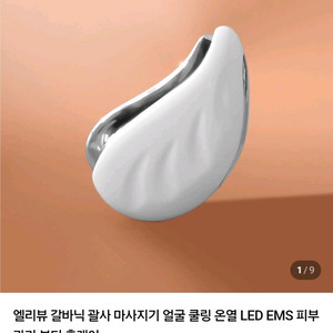 엘리뷰 갈바닉 마사지기