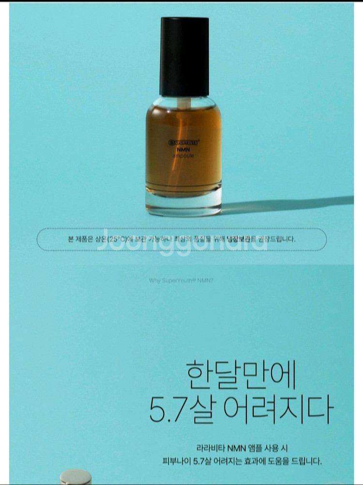 앰플 2--1