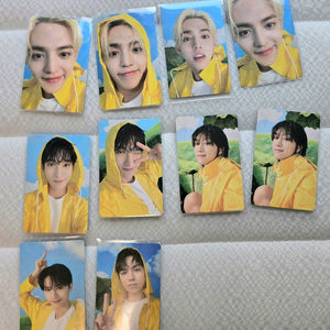 세븐틴 캐럿반 포카 우비포카