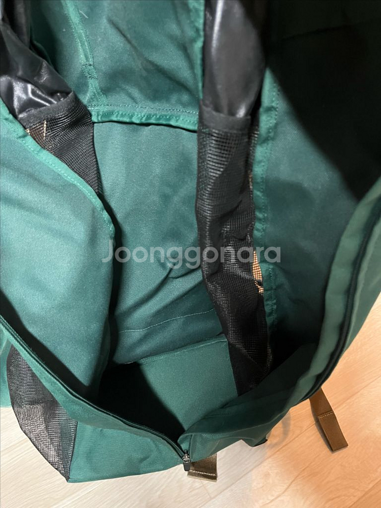 견체공학 어부바2 강아지 이동가방 강아지백팩--3