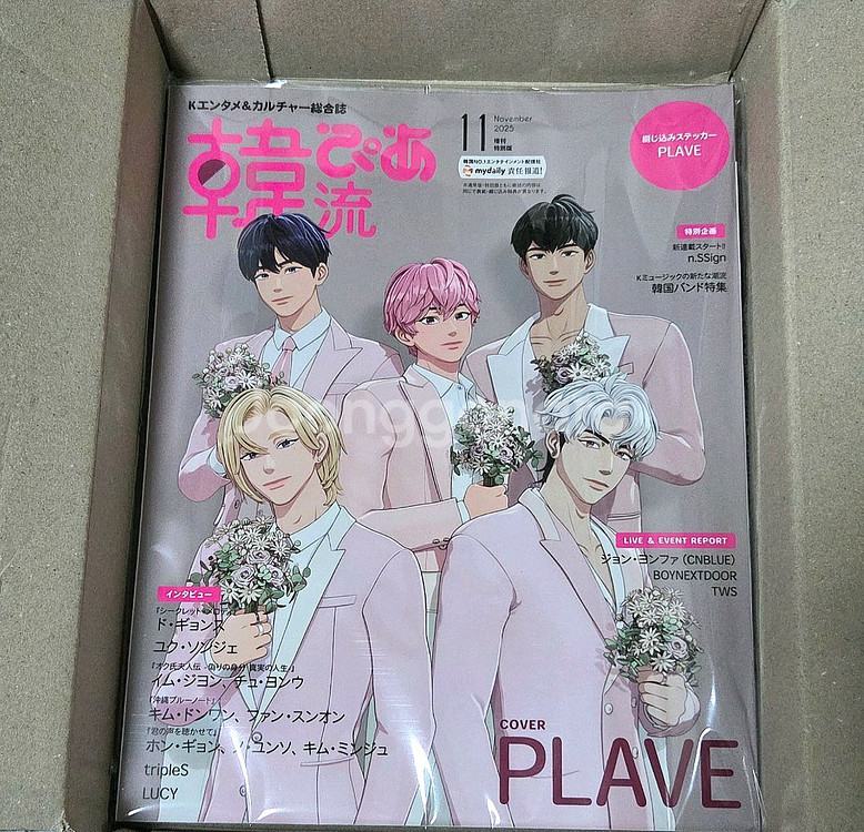 플레이브 한류피아 잡지--0