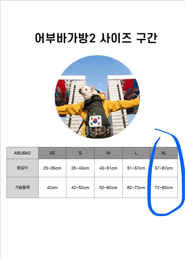견체공학 어부바2 강아지 이동가방 강아지백팩--6