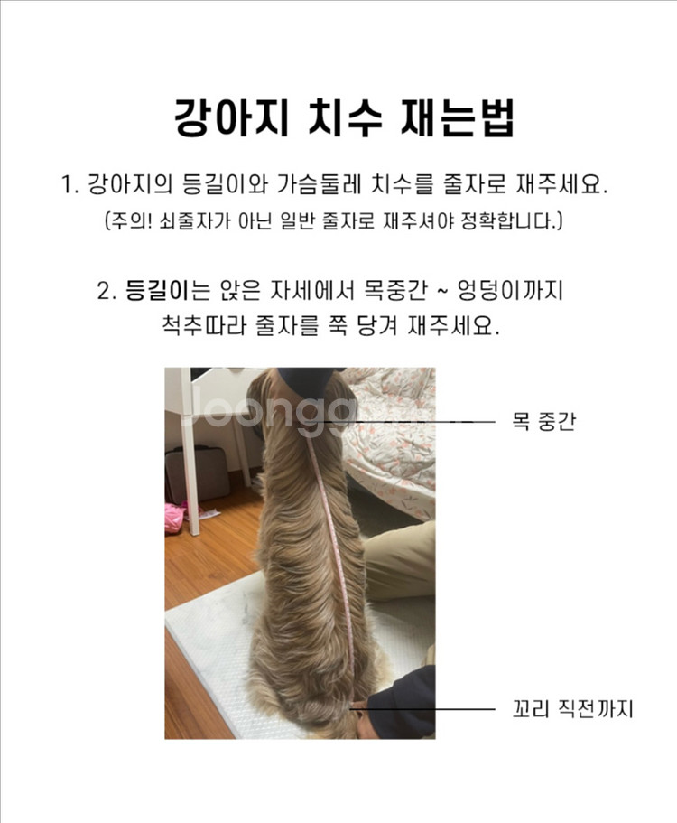 견체공학 어부바2 강아지 이동가방 강아지백팩--7