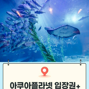 제주/ 여수/ 광교/ 일산 아쿠아플라넷 [빠른답장]