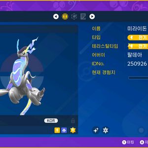 일괄)이로치 코라이돈 미라이돈 팝니다