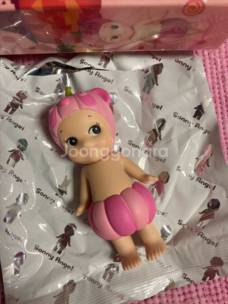 소니엔젤 펌킨 패치 개구리 / 쥐 / 팬더--3