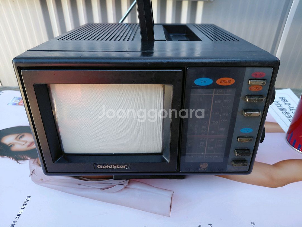 골드스타/빈티지 (근대사)--2