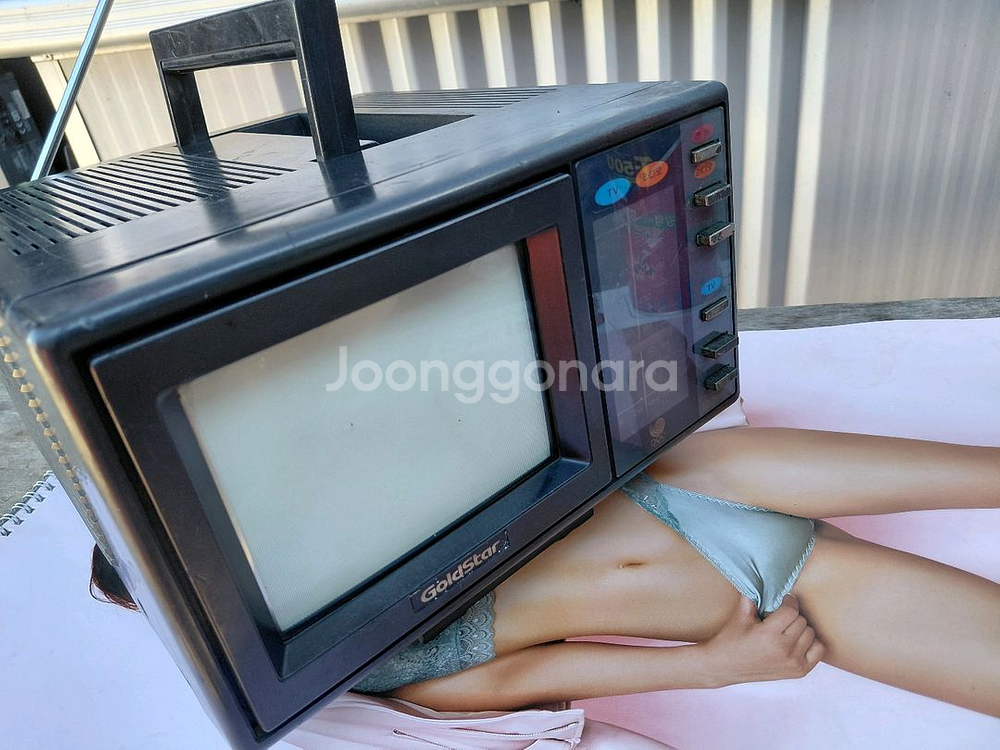 골드스타/빈티지 (근대사)--4