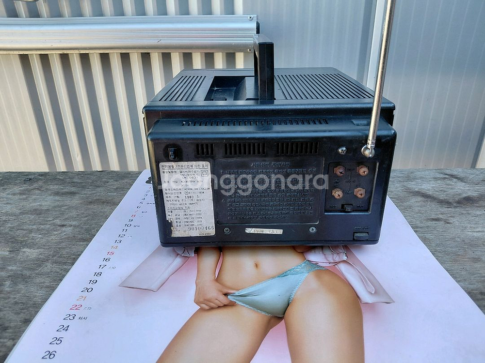 골드스타/빈티지 (근대사)--5