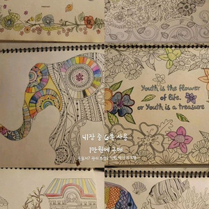 컬러링북 2권 판매합니다.