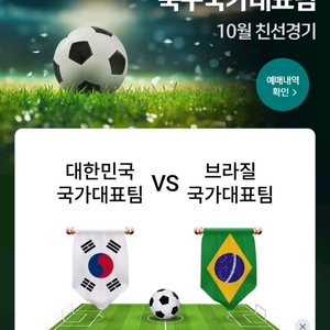 브라질 대한민국 축구 1등석A 2열 연석 티켓양도