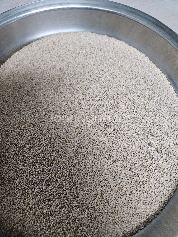 25년도 햇참깨--0