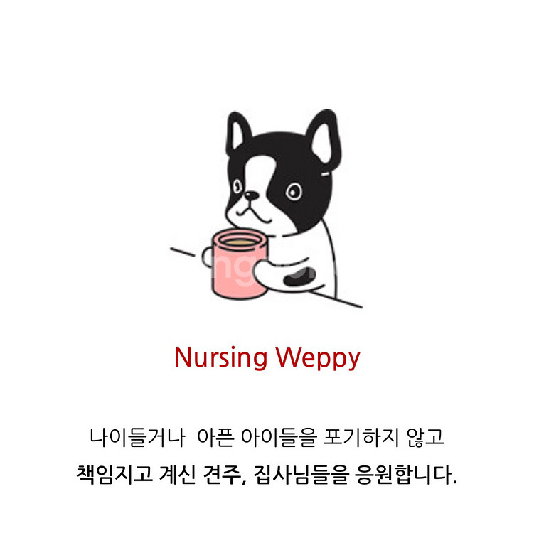 (반려견 강급,간호용품)웹피세트,젓병 새상품 싸게 판매--2