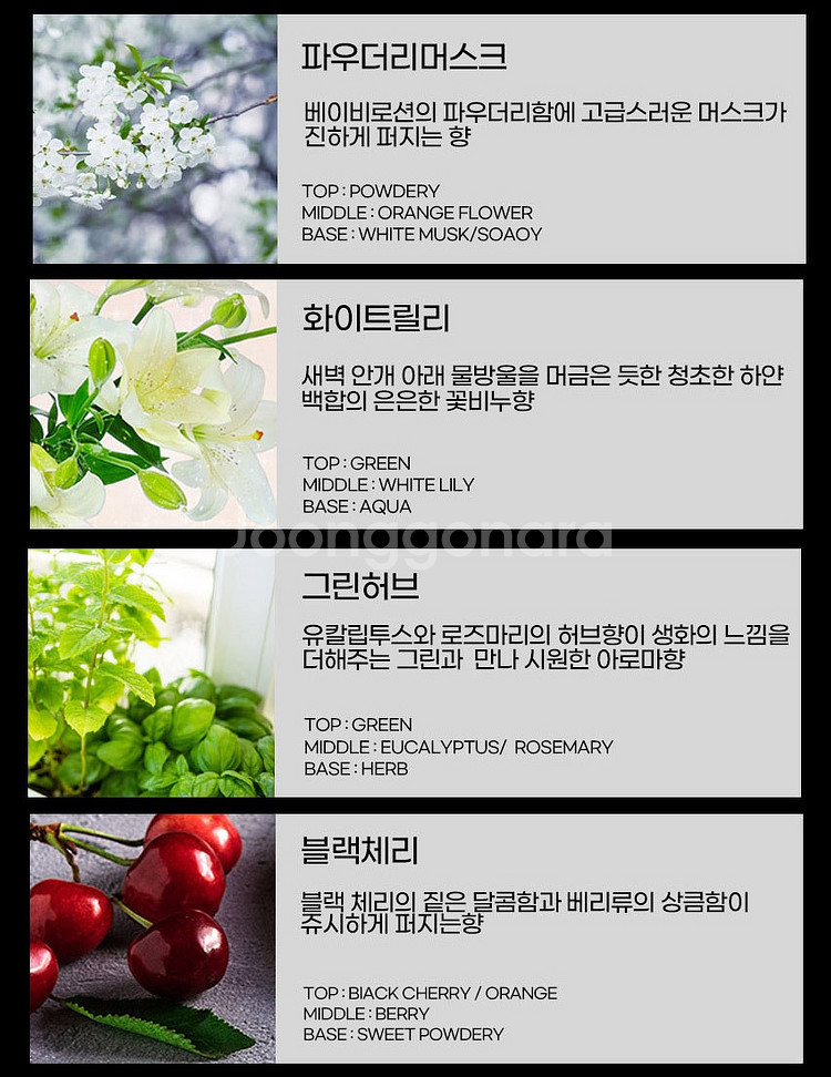 로베르타 세라믹 클립 방향제 2세트 차량용 방향제 실내--7