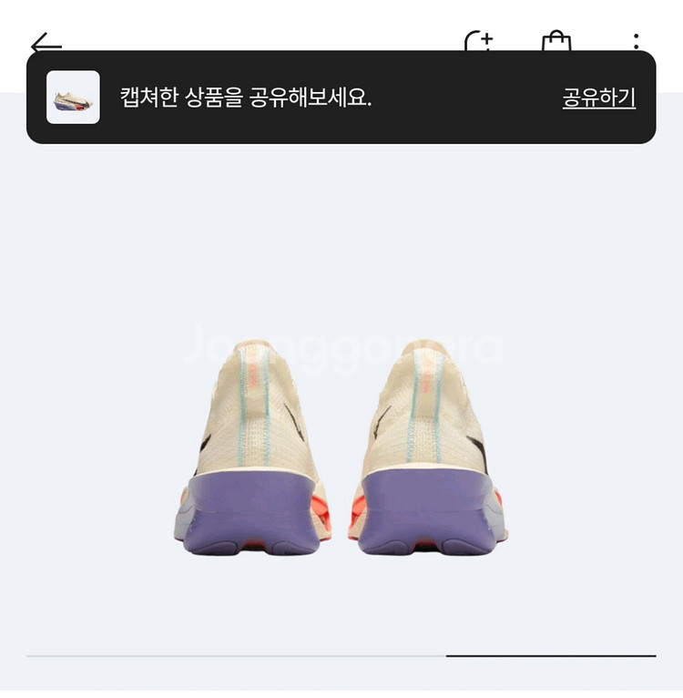 나이키 알파플라이3 250--2