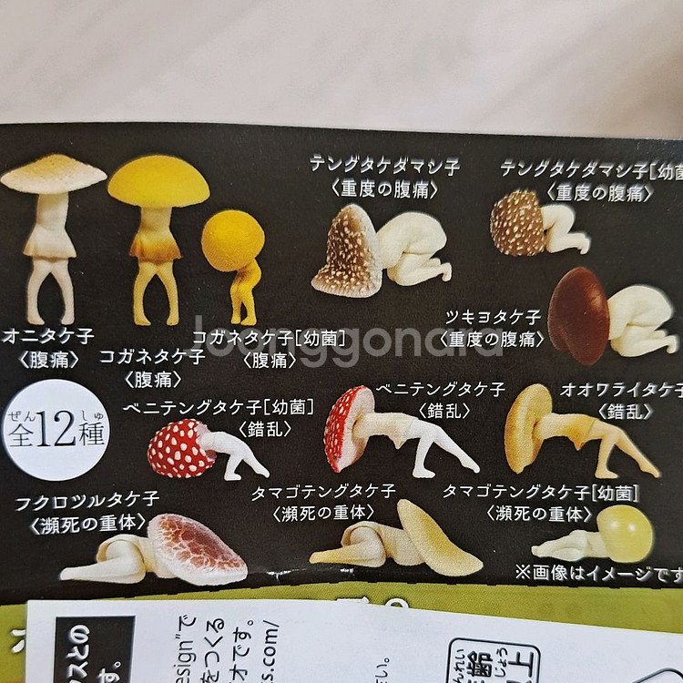 포이즌키노코 2탄 12종--1