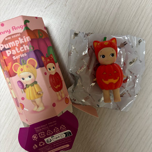 소니엔젤 펌킨패치 고양이