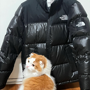 노스페이스 화이트라벨 눕시 L 새상품