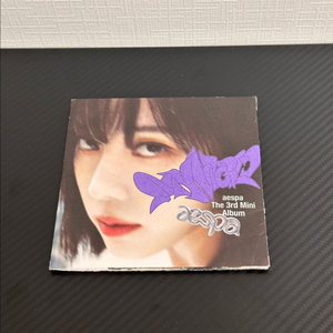 윈터 앨범