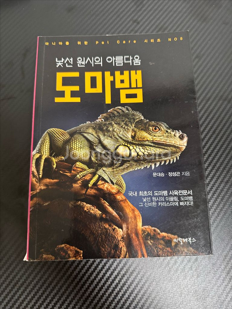 낯선 원시의 아름다움 도마뱀--0