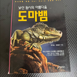 낯선 원시의 아름다움 도마뱀