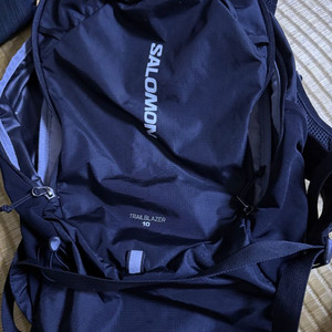 살로몬 10
