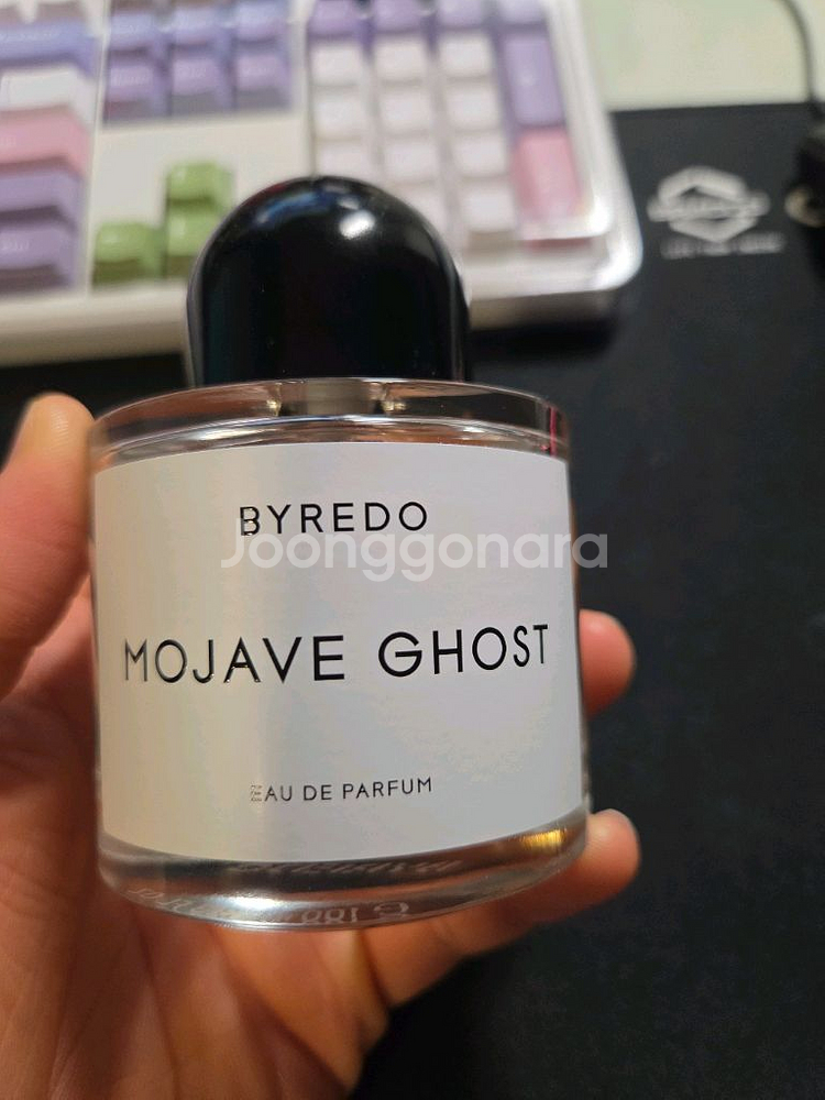 바이레도 모하비고스트--0