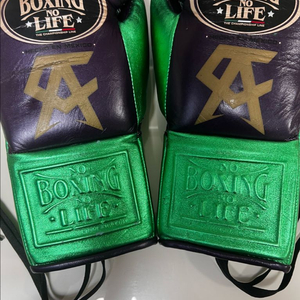 노복싱 노라이프 카넬로 에디션