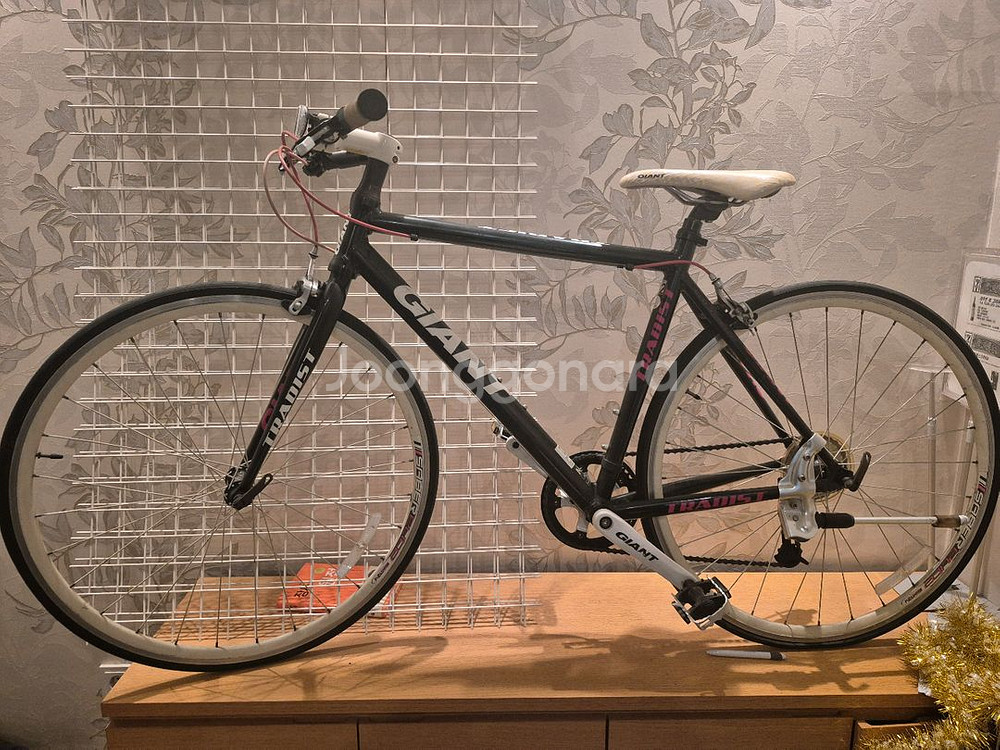 자이언트 Tradist자전거--0